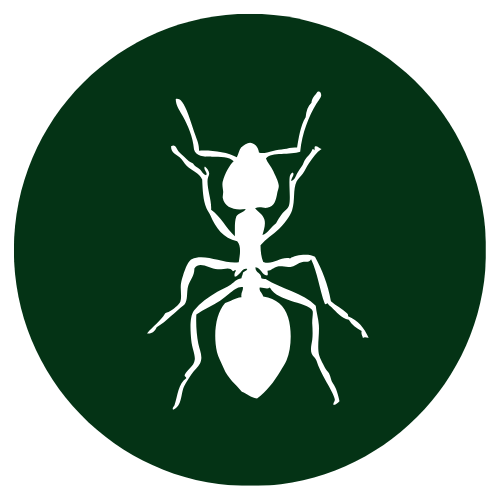 Minor Skin Infections