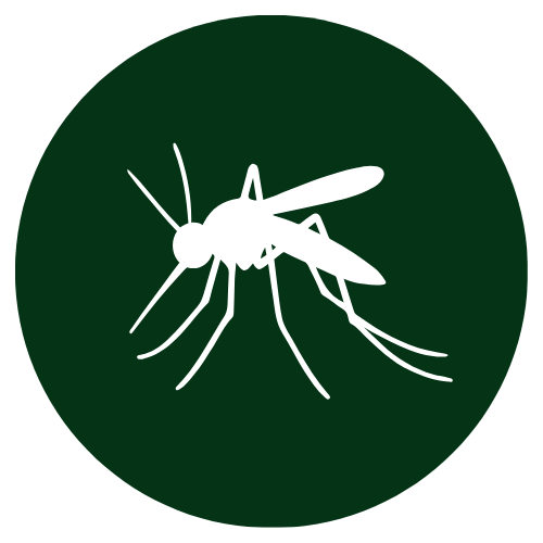 Minor Skin Infections